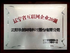 关于示剑-沈阳示剑网络科技股份有限公司