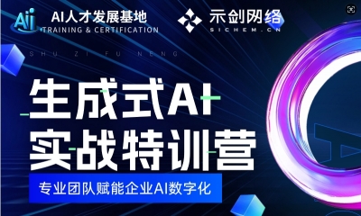 关于示剑-沈阳示剑网络科技股份有限公司
